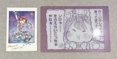 メダリスト展　鹿本すず セット