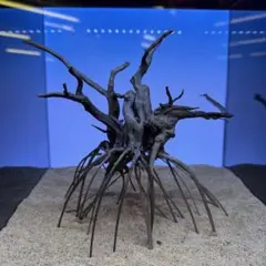 2026年最新】ブランチウッドの人気アイテム - メルカリ