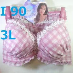 【I 90/3L】ブラ・ショーツセット★2点以上で各200円引★60410051