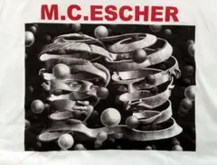 M.C.エッシャー 婚姻の絆 空と水 アートTシャツ(Ｆ)s05