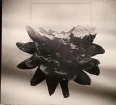 Eternal Void / Catharsis