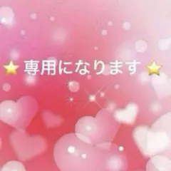 ⭐️ ちわわんこ様専用 ⭐️