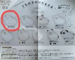 うちの子のけだまだま