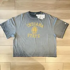 DIVIDED STATES OF OLIVE® Tシャツ グレー L - メルカリ