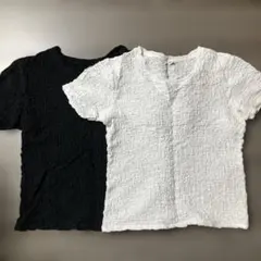 ユニクロシャーリングT M 2枚セット