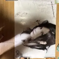 B*9様 Acid Black Cherry 両面ポスター