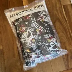 ヒスミニ バッグ ムック本 新品未使用