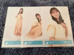 Item thumbnail for item 3824fb96-c986-4333-af84-a0de6b59df99