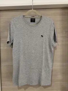 Abercrombie & Fitch グレー Tシャツ M 美品