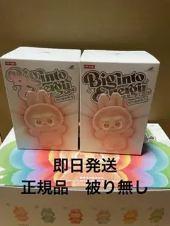 正規品・未開封】Labubu Big into Energy 2箱