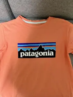 patagoniaパタゴニアTシャツ キッズXXLサイズ　大人S-Mサイズ