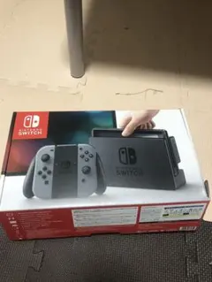 Nintendo Switch 本体 グレー 充電器付き