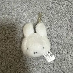 Item thumbnail for item b92cbf0d-d4d6-4d2e-b7a4-2bd9e0718266