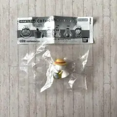 コジコジかいすいよく