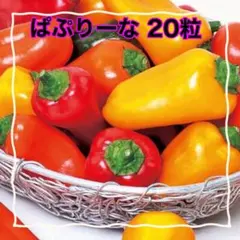 てるてる様 リクエスト 2点 まとめ商品