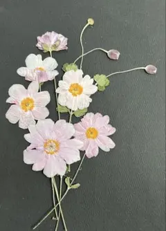 Item thumbnail for item ce526276-e71f-4f31-beb3-f3109adae50b