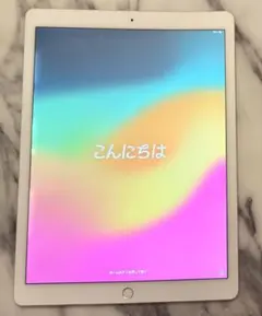【匿名配送】Apple iPad Pro 第2世代 12.9インチ 256GB