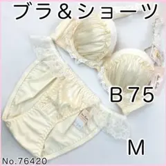ブラジャーショーツセットＢ75 No.76420