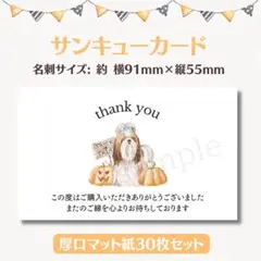 サンキューカード ハロウィン×犬⑩ 名刺サイズ 30枚セット