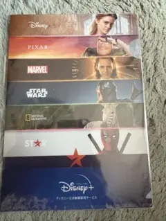 Disney+ クリアファイル 非売品のサムネイル