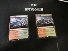 2026年最新】樹木茂る山麓 foilの人気アイテム - メルカリ