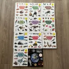 Item thumbnail for item 01c08802-6068-4efa-a65d-dc91ba96fd0b