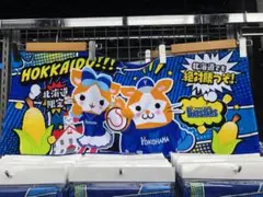 ドアラ 北海道限定 タオル 中日ドラゴンズ エスコンフィールド 交流戦 