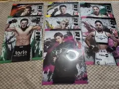 RIZIN クリアファイルコレクション全種10点 コンプリート - メルカリ