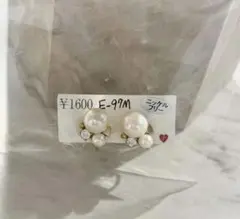 Item thumbnail for item 6a0d4d0e-3d9d-4f47-8aa8-a6f265ef8926