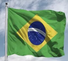 ブラジル国旗150X90cm1枚新品送料無料