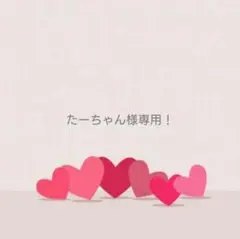 たーちゃん様専用ページ！