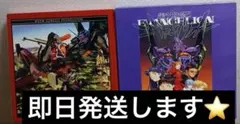 楽*箱様 エヴァンゲリオン限定BOXの外箱 おまけのLD付き！