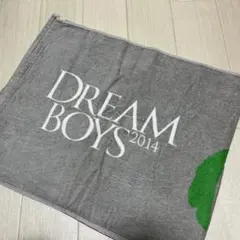 キスマイ DREAMBOYS2014 ドリボ タオル