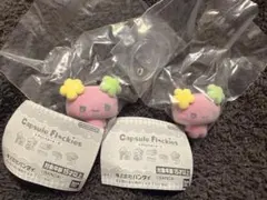 たまごっち カプセルフロッキーズ ふらわっち2個セット