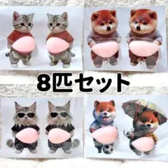 8匹セット 猫＆柴犬シール 立体お腹ぷにぷにおなかぷにぷに