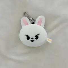 ミニフェイスキーリング Leebit