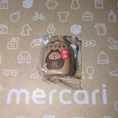 【新米フクマネキ】ミニチュア　concombreのサムネイル