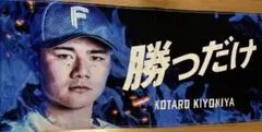 北海道日本ハムファイターズ ぬいぐるみ 達 清宮 郡司 3個 + うちわ