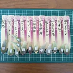 2026年最新】おらいさん苗 赤鬼の人気アイテム - メルカリ