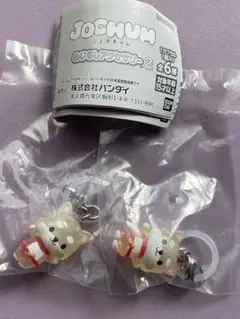 JOCHUM ジェオチャム　めじるしアクセサリー2