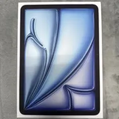 Apple iPad 本体 青