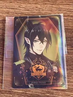 マレウス・ドラコニア ホロカード ディアソムニア