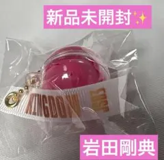 みさちあ様 リクエスト 2点 まとめ商品