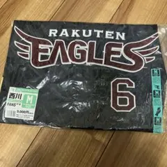 Item thumbnail for item 88f219aa-b2b0-4ca6-9576-70f62f337934