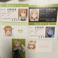 映画 五等分の花嫁 中野四葉 コレクションカード 6枚セット