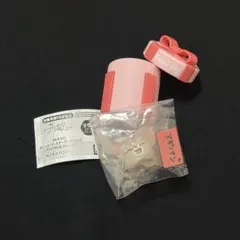 SKZOO ぷくっとバースデークリアリング アイエン　アギパン ガチャ