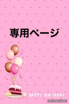 ☆*:.。. user_ef580353様専用ページ.。.:*☆