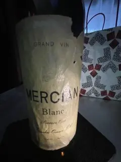 Item thumbnail for item a1881f60-699c-4f53-89d1-d2f4e88041b8