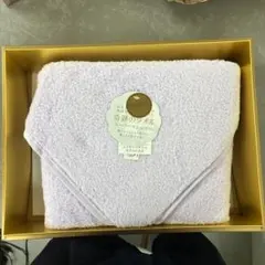 Item thumbnail for item 111d6d7d-8ee3-4327-bfe1-9146f9b0cb06