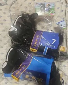 タイトーくじ HORSE HEROES A賞& LH賞&D賞　イクイノックス